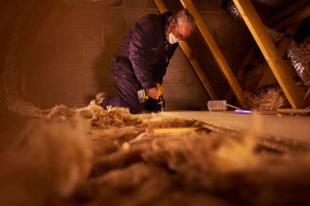 Best Attic Insulation Installation  in Charlotte, MI